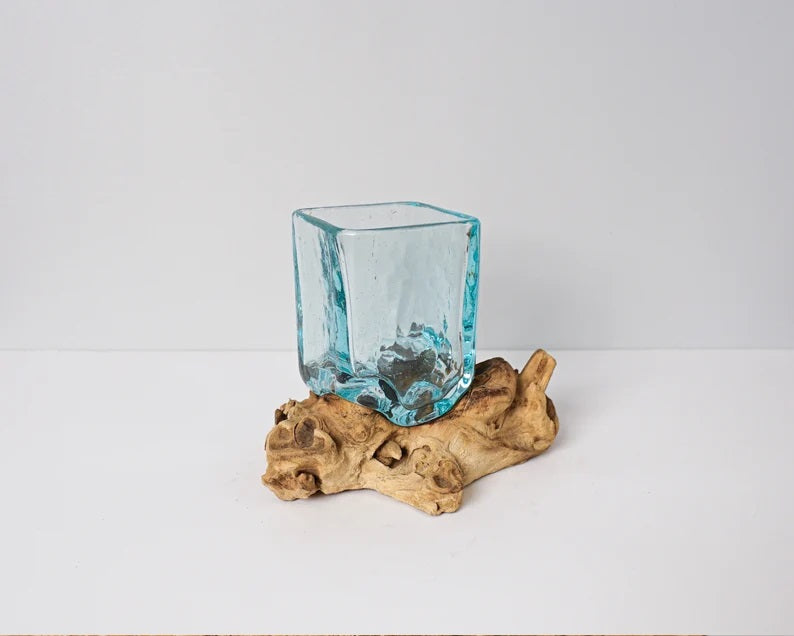 Blown Glass on Driftwood, Vase, Molten Glass, Terrarium Glass, Hand Blown Recycled Glass, Office Decor, Decorative, Unique, Gift for Mother