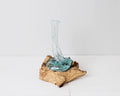 Blown Glass on Driftwood, Vase, Gamal, Molten Glass, Terrarium, Hand Blown Recycled Glass, Housewarming, Living Room Decor, Gift for Sister