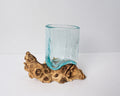 Blown Glass on Driftwood, Vase, Natural Piece, Molten Glass, Terrarium, Artwork, Hand Blown Recycled Glass, Gift for Mom, Memorial Gift