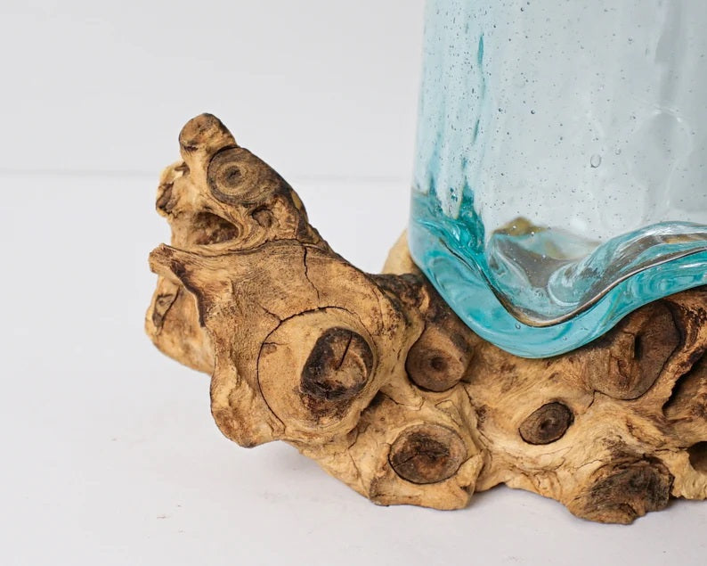 Blown Glass on Driftwood, Vase, Natural Piece, Molten Glass, Terrarium, Artwork, Hand Blown Recycled Glass, Gift for Mom, Memorial Gift