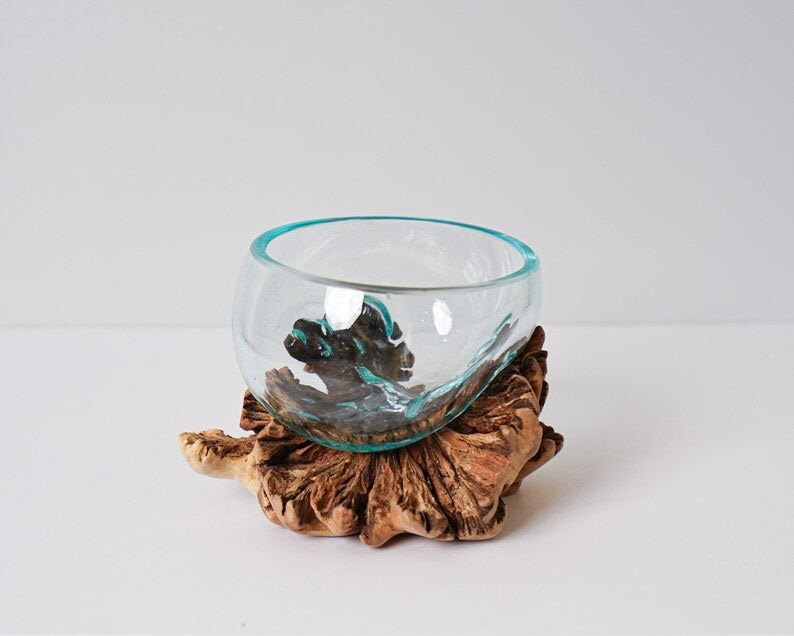 Blown Glass, Melted Glass, Molten Glass, Hand Blown Recycled Glass, Woodland, Succulent Planter, Flower Vase, Table Decor, Mother Loss Gift