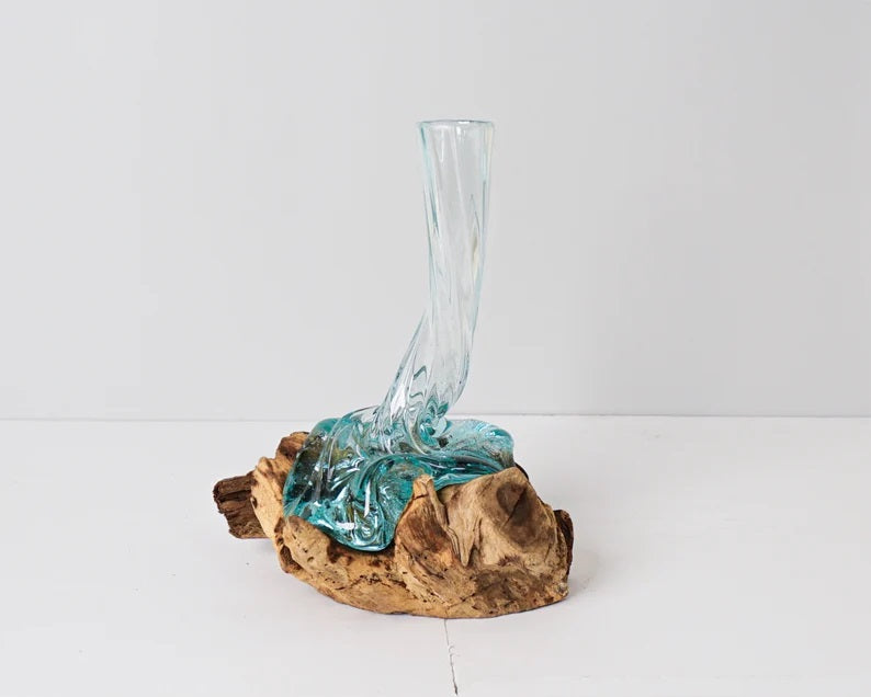 Blown Glass on Driftwood, Vase, Gamal, Molten Glass, Terrarium, Hand Blown Recycled Glass, Housewarming, Living Room Decor, Gift for Sister