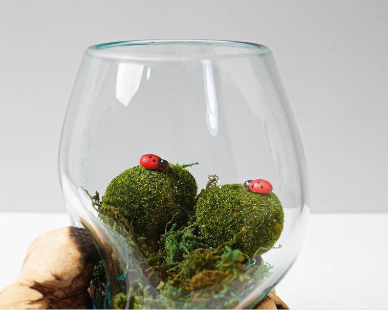 Molten Glass on Recycled Glass, Blown Glass, Terrarium, Unique Vase, Succulent Planter, Room Decoration, Home Table  Decor, Memorial Gift