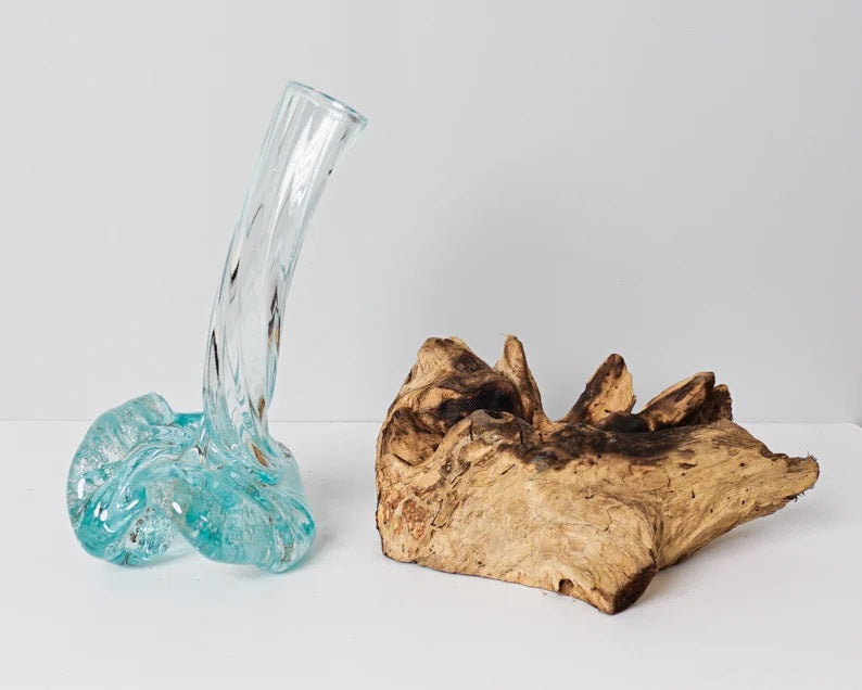 Blown Glass on Driftwood, Vase, Gamal, Molten Glass, Terrarium, Hand Blown Recycled Glass, Housewarming, Living Room Decor, Gift for Sister