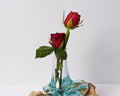 Blown Glass on Driftwood, Vase, Gamal, Molten Glass, Terrarium, Hand Blown Recycled Glass, Housewarming, Home Table Decor, Bridesmaid Gifts