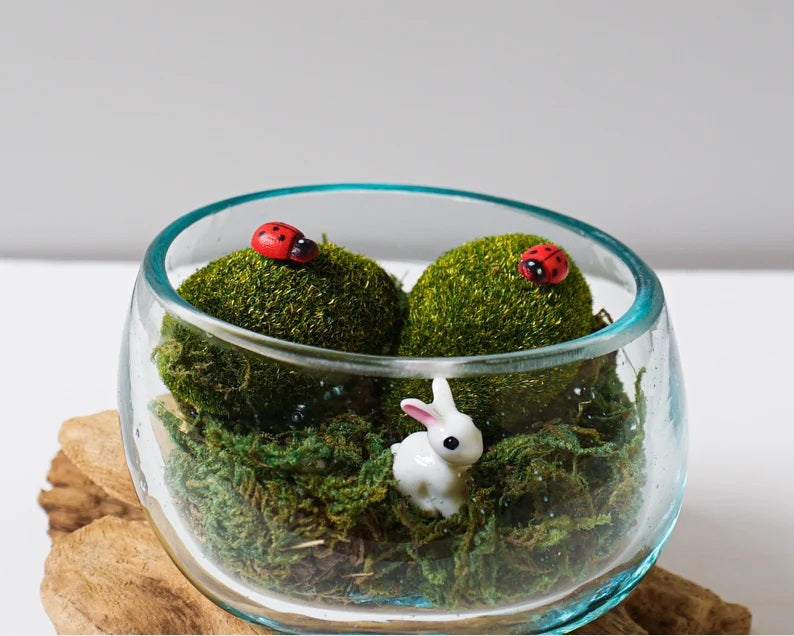Blown Glass Small, Melted Glass, Molten Glass, Terrarium, Vase, Hand Blown Recycled Glass, Succulent Planter, Office Decor, Birthday Gift