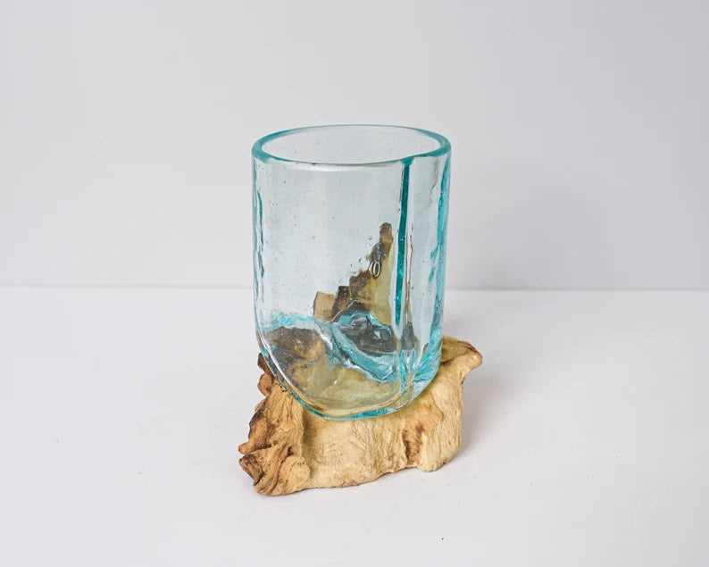 Blown Glass on Driftwood, Vase, Natural Piece, Molten Glass, Terrarium, Artwork, Hand Blown Recycled Glass, Gift for Mom, Memorial Gift
