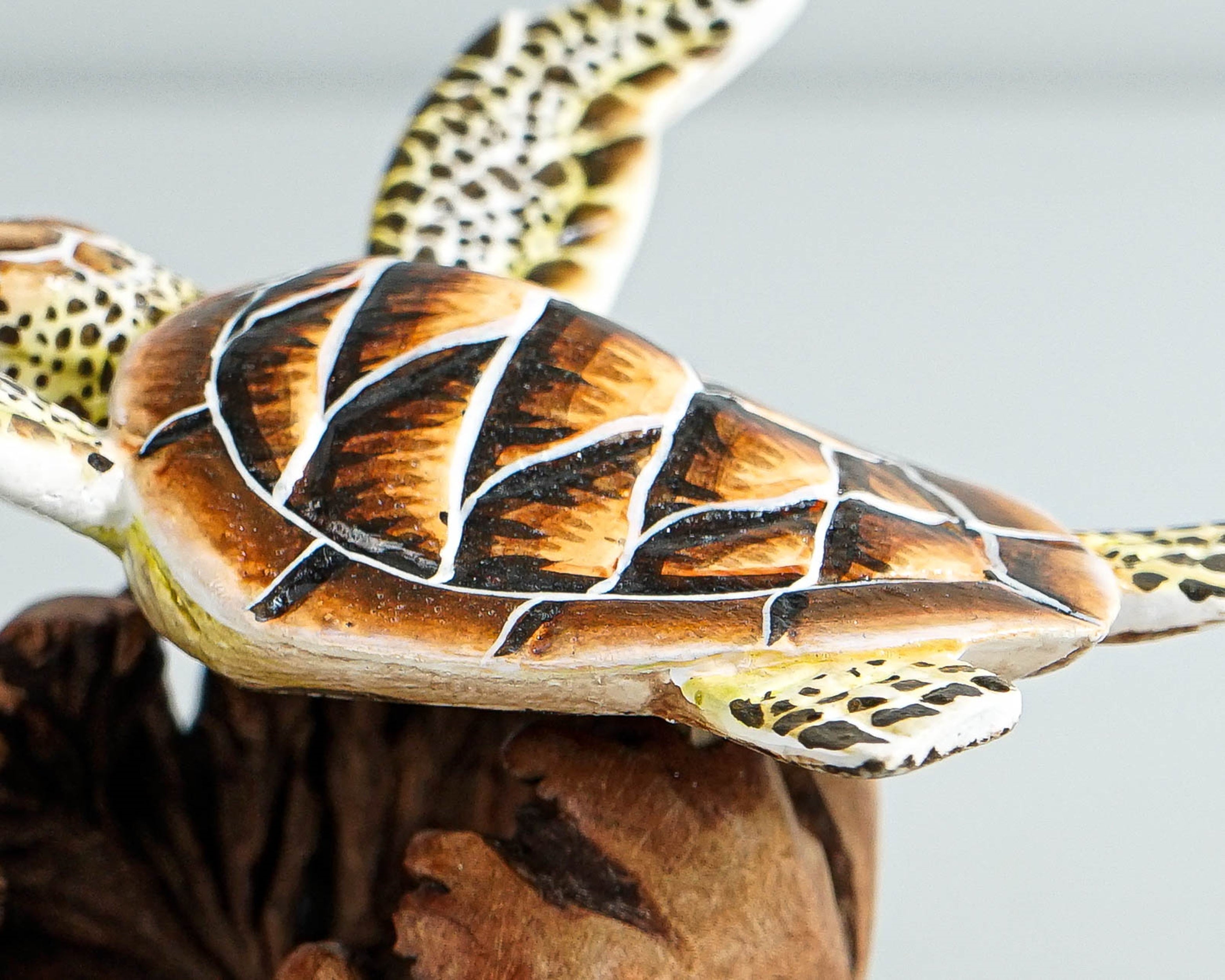 Brown Turtle Sculpture, Sea Turtle, Wood Carving, Ocean, Hand-painted Figurine, Unique, Office Desk Decor, Handmade Sculpture, Gift for Him