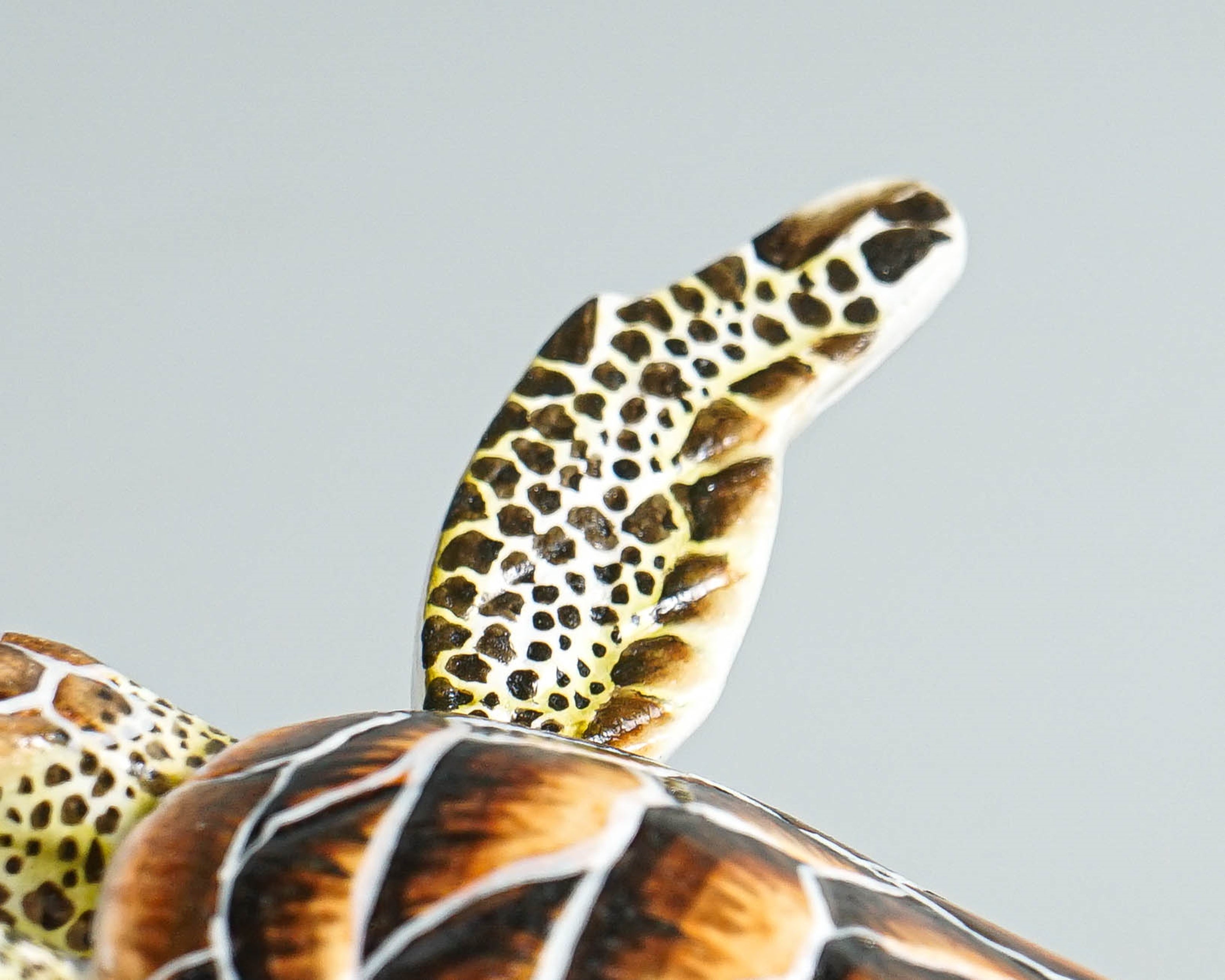 Brown Turtle Sculpture, Sea Turtle, Wood Carving, Ocean, Hand-painted Figurine, Unique, Office Desk Decor, Handmade Sculpture, Gift for Him