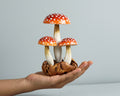 Red Mushroom Cluster Sculpture 5.5in Tall Hand-Painted on Unique Wood