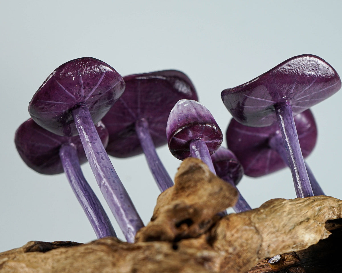 Purple Hanging Mushroom Art, Wall Statue, Fairy Mushroom, Miniature, Handmade, Forest, Aesthetic Room Decor, Personalized, Teacher Gift