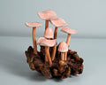 Pink Mushroom Miniature, Hand Painted Statue, Figurine, Handmade Decor, Wood Carving, Natural Piece, Valentines Décor, Gift for Twin