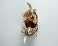 Wall Hanging Turtle Statue, Wooden Sculpture, Nature, Couple Sculpture, Coral Reef, Living Room Decor, Love, Couple Gift, Engagement Gift