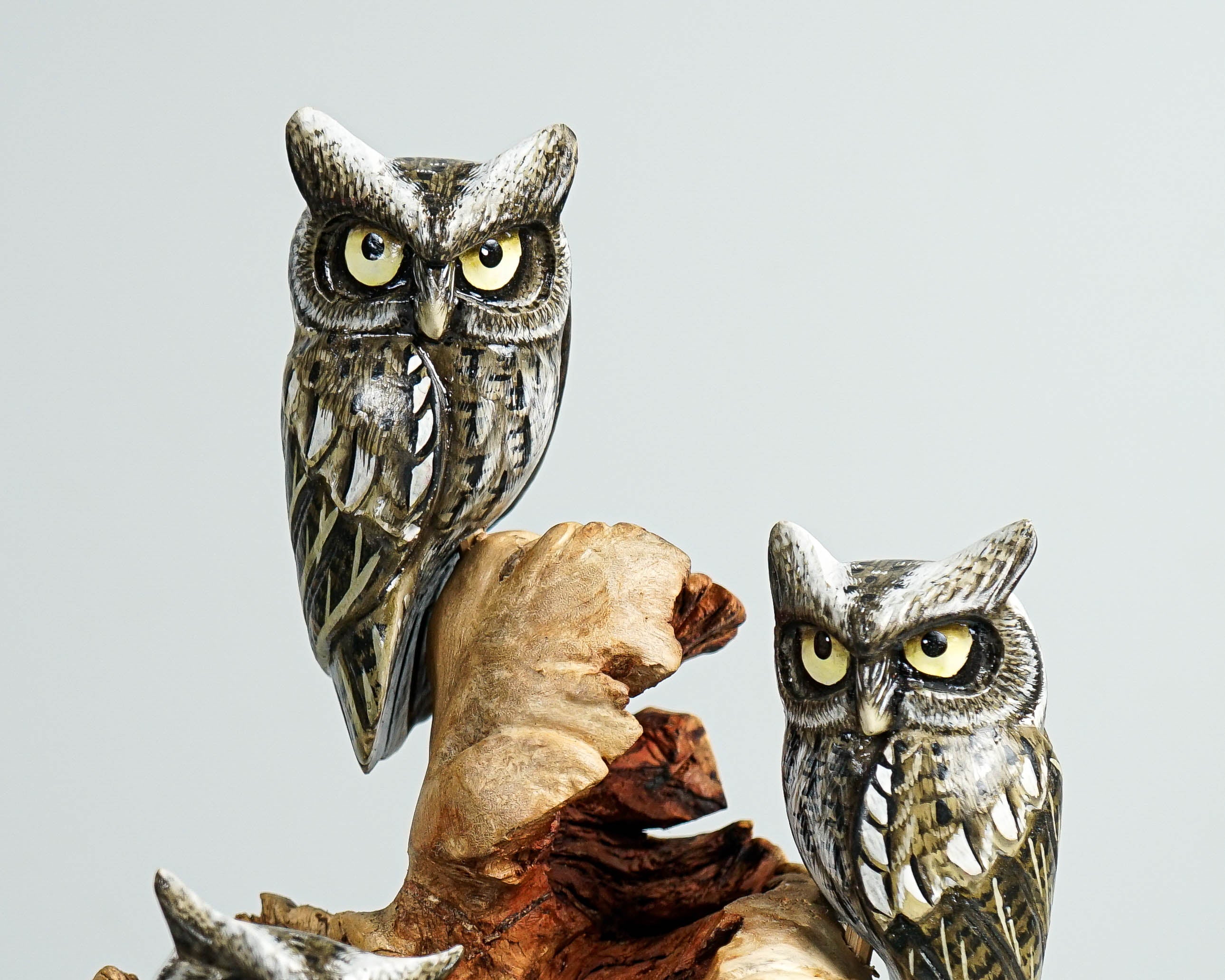 Group of Owls on a Tree Branch, Painted Figurine, Colorful Art, Wooden Ornament, Unique Sculpture, Family Decor, Best Friend Gift