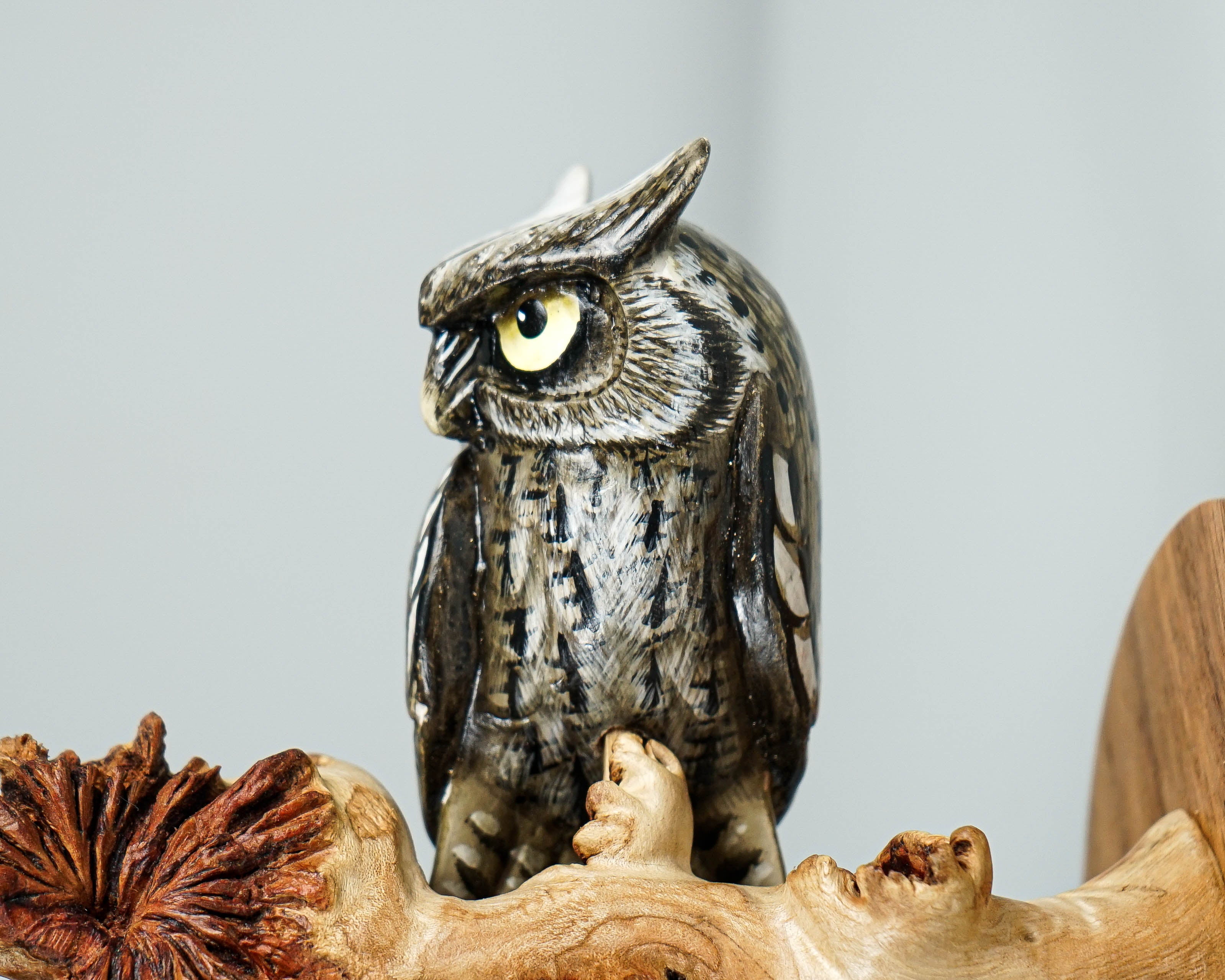 Owl on a Tree Branch Wall Decor, Wall Art, Painted Figurine, Handcrafted, Colorful, Wooden Ornament, Sculpture, Room Decor, Birthday Gift