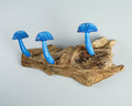 Blue Mushroom Wall Hook, Wooden Decor, Handcrafted, Art, Hand Painted, Jewelry Holder, Woodland, Storage, Rustic Decor, Appreciated Gift