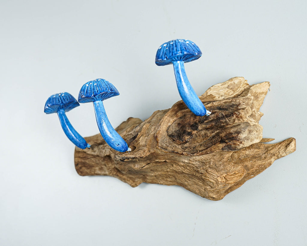 Blue Mushroom Wall Hook, Wooden Decor, Handcrafted, Art, Hand Painted, Jewelry Holder, Woodland, Storage, Rustic Decor, Appreciated Gift