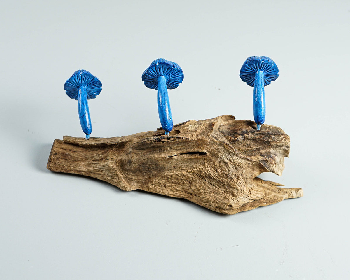 Blue Mushroom Wall Hook, Wooden Decor, Handcrafted, Art, Hand Painted, Jewelry Holder, Woodland, Storage, Rustic Decor, Appreciated Gift