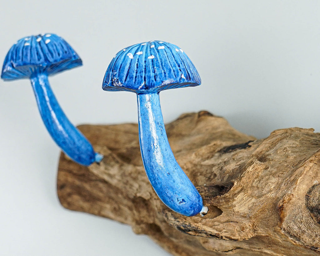 Blue Mushroom Wall Hook, Wooden Decor, Handcrafted, Art, Hand Painted, Jewelry Holder, Woodland, Storage, Rustic Decor, Appreciated Gift