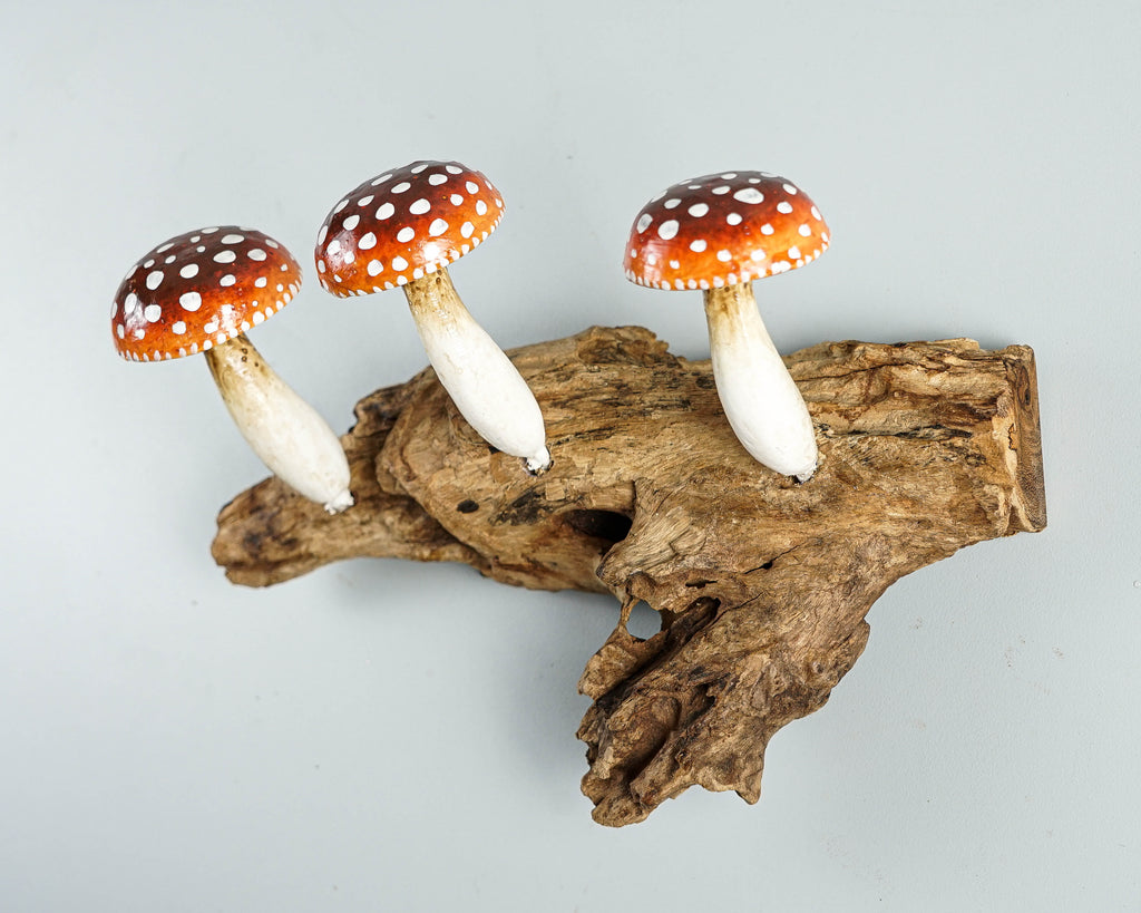 Red Mushroom Wall Hook, Wooden Decor, Amanita, Art Work, Natural Piece, Outdoor Patio, Jewelry Holder, House Decoration, Gift for Mom
