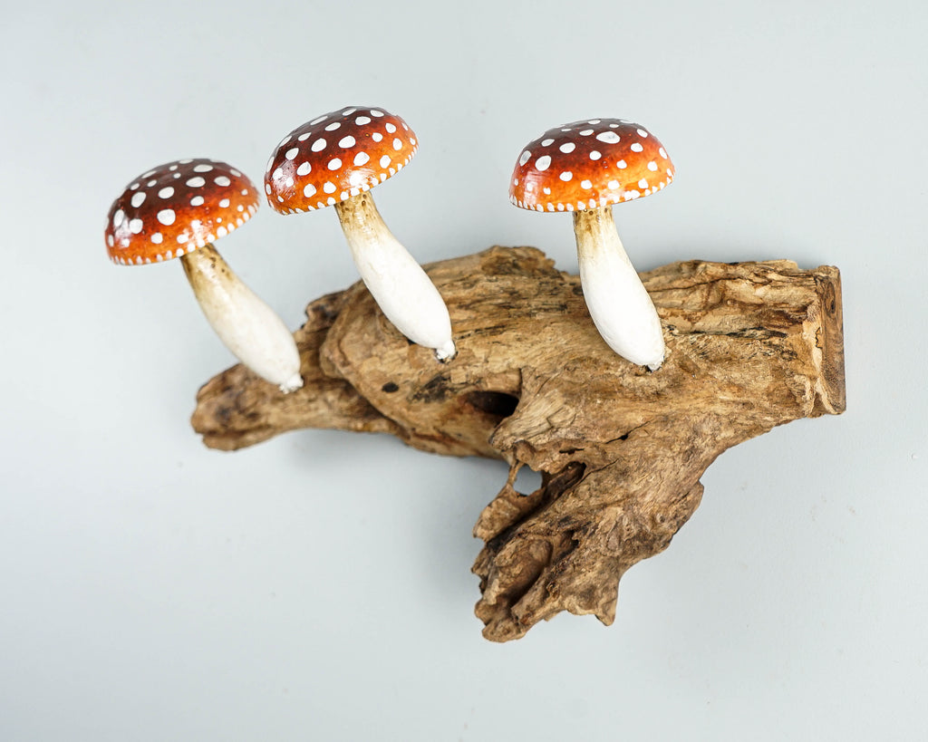 Red Mushroom Wall Hook, Wooden Decor, Amanita, Art Work, Natural Piece, Outdoor Patio, Jewelry Holder, House Decoration, Gift for Mom