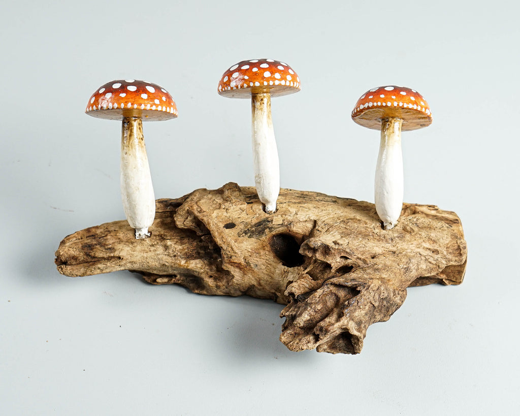Red Mushroom Wall Hook, Wooden Decor, Amanita, Art Work, Natural Piece, Outdoor Patio, Jewelry Holder, House Decoration, Gift for Mom