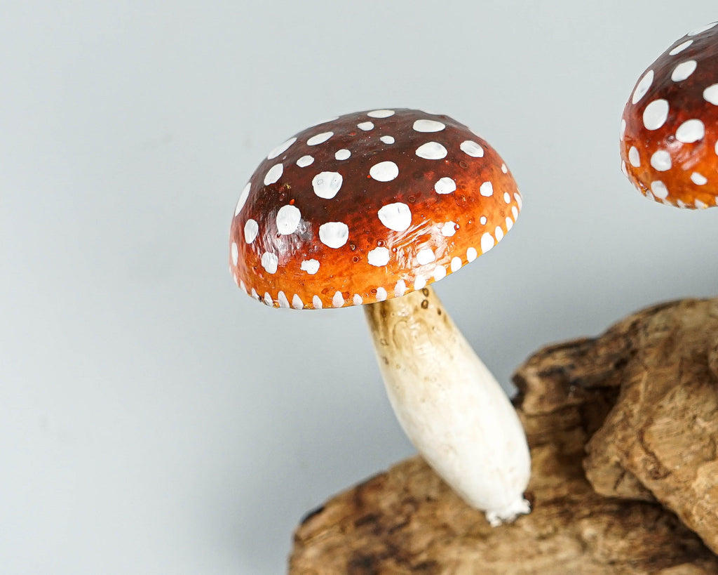 Red Mushroom Wall Hook, Wooden Decor, Amanita, Art Work, Natural Piece, Outdoor Patio, Jewelry Holder, House Decoration, Gift for Mom
