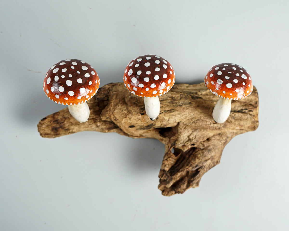 Red Mushroom Wall Hook, Wooden Decor, Amanita, Art Work, Natural Piece, Outdoor Patio, Jewelry Holder, House Decoration, Gift for Mom