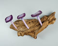 Purple Mushroom Wall Hook, Wooden Decor, Artwork, Handmade, Nature, Handcrafted, Key Holder, Interior Decor, Graduation Gifts for Him