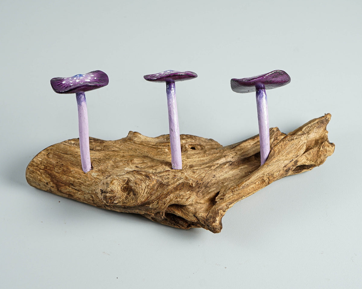 Purple Mushroom Wall Hook, Wooden Decor, Artwork, Handmade, Nature, Handcrafted, Key Holder, Interior Decor, Graduation Gifts for Him