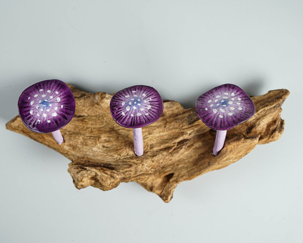 Purple Mushroom Wall Hook, Wooden Decor, Artwork, Handmade, Nature, Handcrafted, Key Holder, Interior Decor, Graduation Gifts for Him
