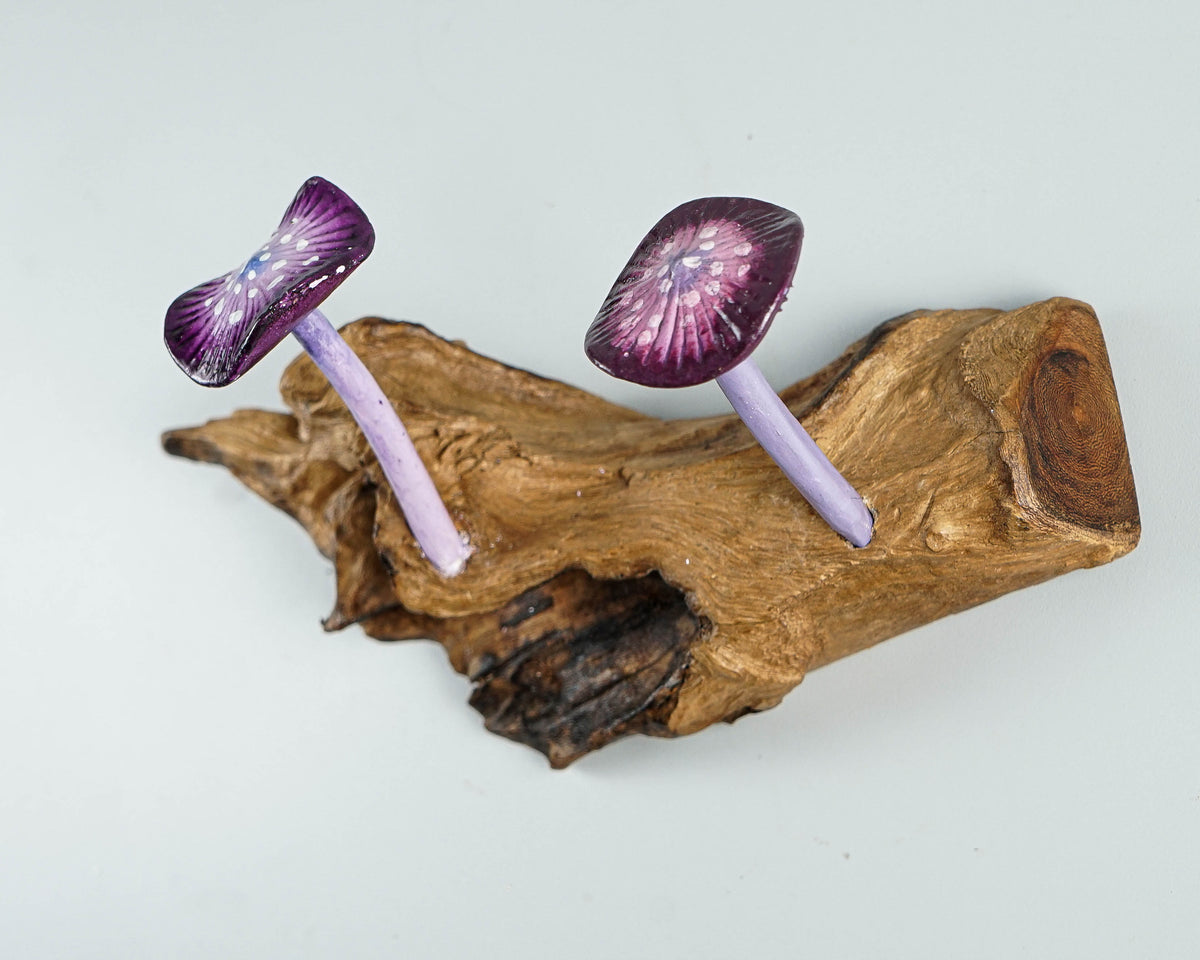 Purple Mushroom Wall Hook, Wooden Decor, Artwork, Handmade, Nature, Handcrafted, Key Holder, Interior Decor, Graduation Gifts for Him