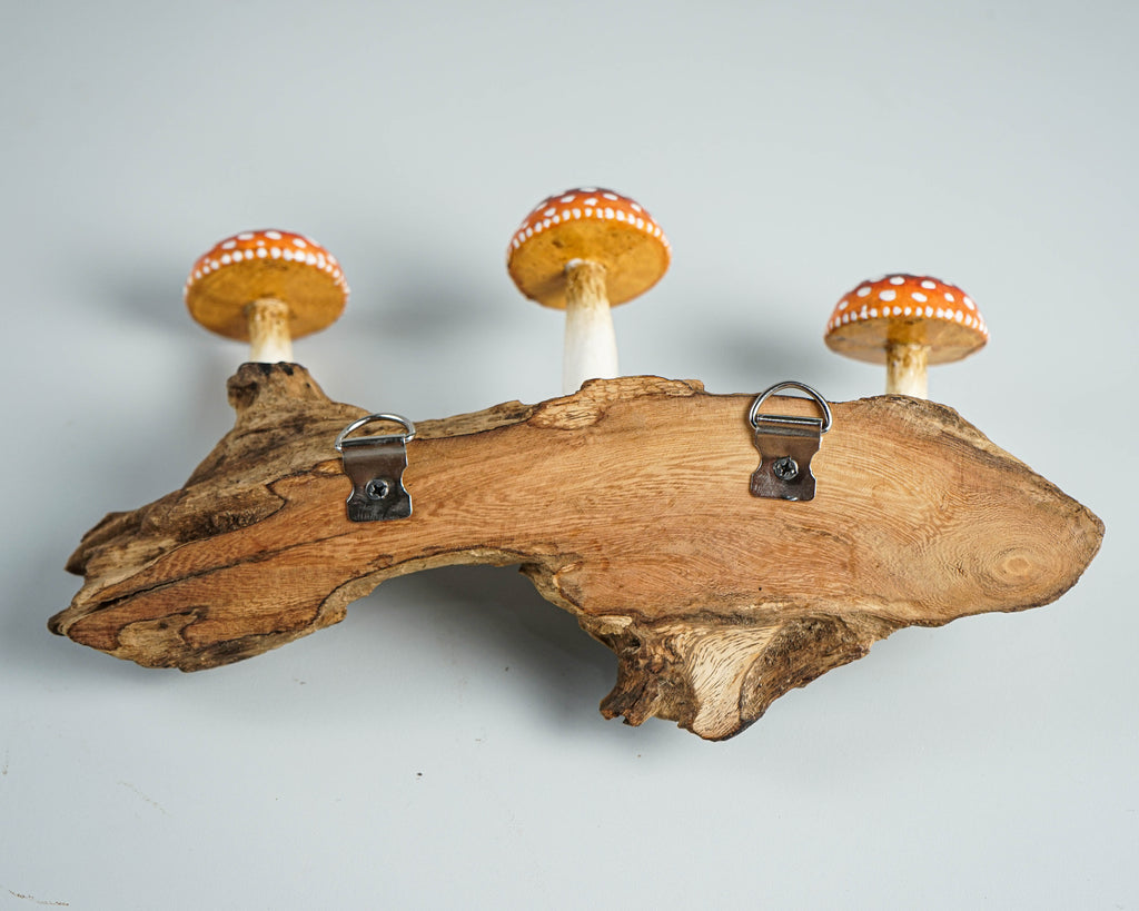 Red Mushroom Wall Hook, Wooden Decor, Amanita, Art Work, Natural Piece, Outdoor Patio, Jewelry Holder, House Decoration, Gift for Mom