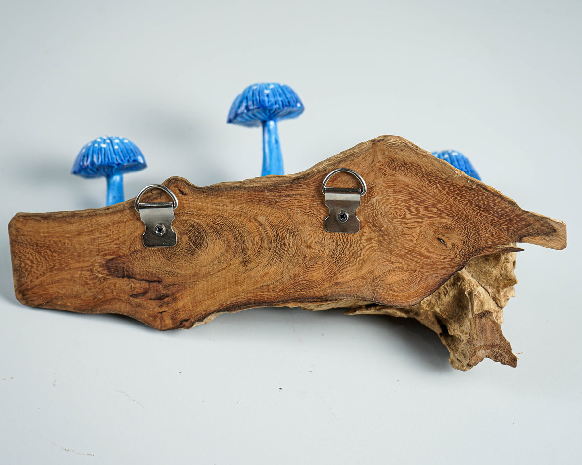 Blue Mushroom Wall Hook, Wooden Decor, Handcrafted, Art, Hand Painted, Jewelry Holder, Woodland, Storage, Rustic Decor, Appreciated Gift