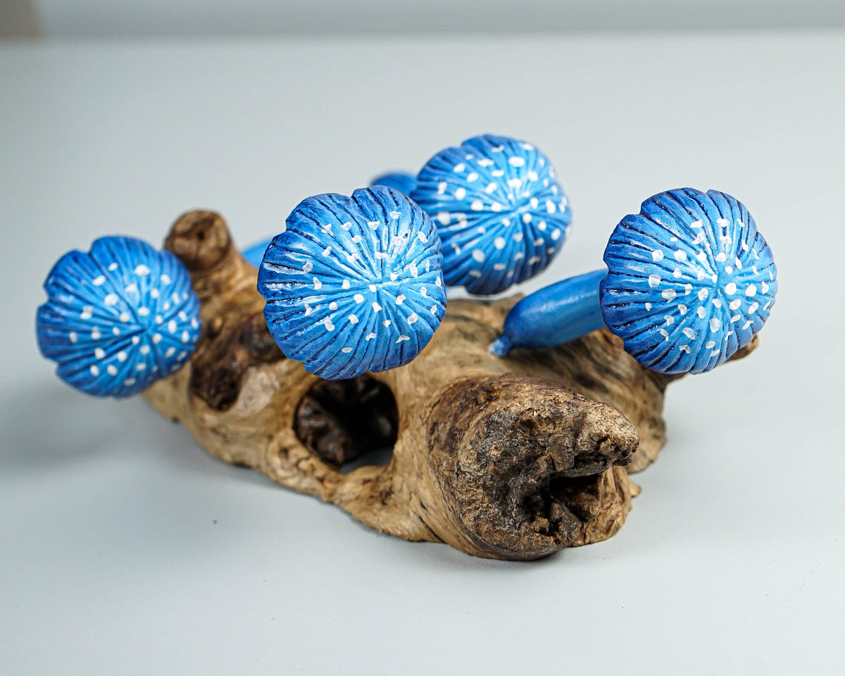 Blue Mushroom Wall Art, Hanging Statue, Colorful Mushroom, Handicraft, Housewarming, Burl Wood, Pop Up Decor, Library, Art, Special Gift