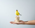 American Goldfinch Sculpture 5in Tall Hand-Painted Wooden Bird Art