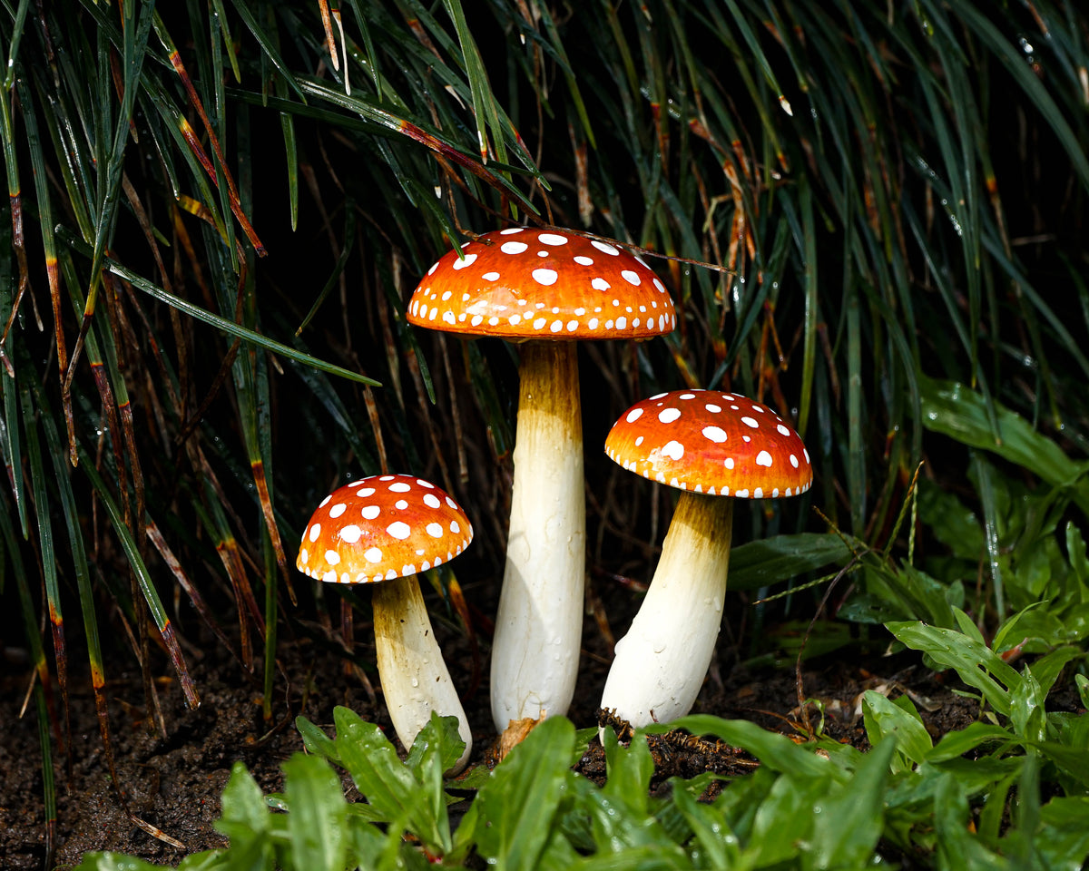 Wooden Fairy Garden Mushroom Set, Natural, Red mushroom Sculpture, Outdoor Art, Painted Statue, Amanita, Flower Pot Decor, Appreciated Gift