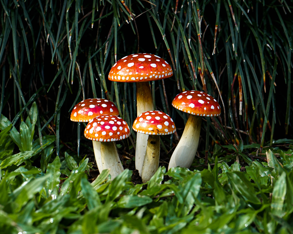 Wooden Fairy Garden Mushroom Set, Red with White Dots, Outdoor Art, Plant Statue, Fall Yard, Unique, Birthday Gift for Mom, Outdoor Décor