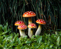 Wooden Fairy Garden Mushroom Set, Red with White Dots, Outdoor Art, Plant Statue, Fall Yard, Unique, Birthday Gift for Mom, Outdoor Décor