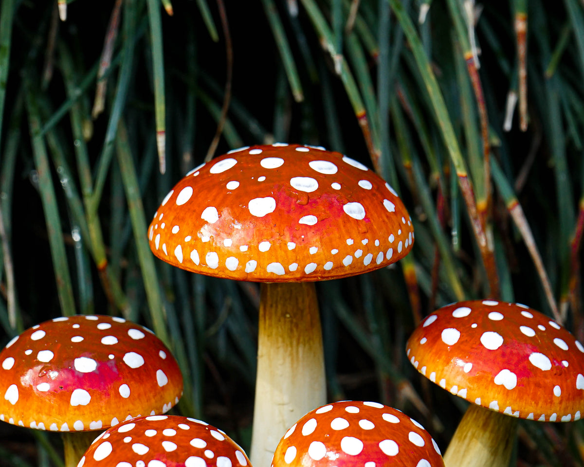 Wooden Fairy Garden Mushroom Set, Red with White Dots, Outdoor Art, Plant Statue, Fall Yard, Unique, Birthday Gift for Mom, Outdoor Décor