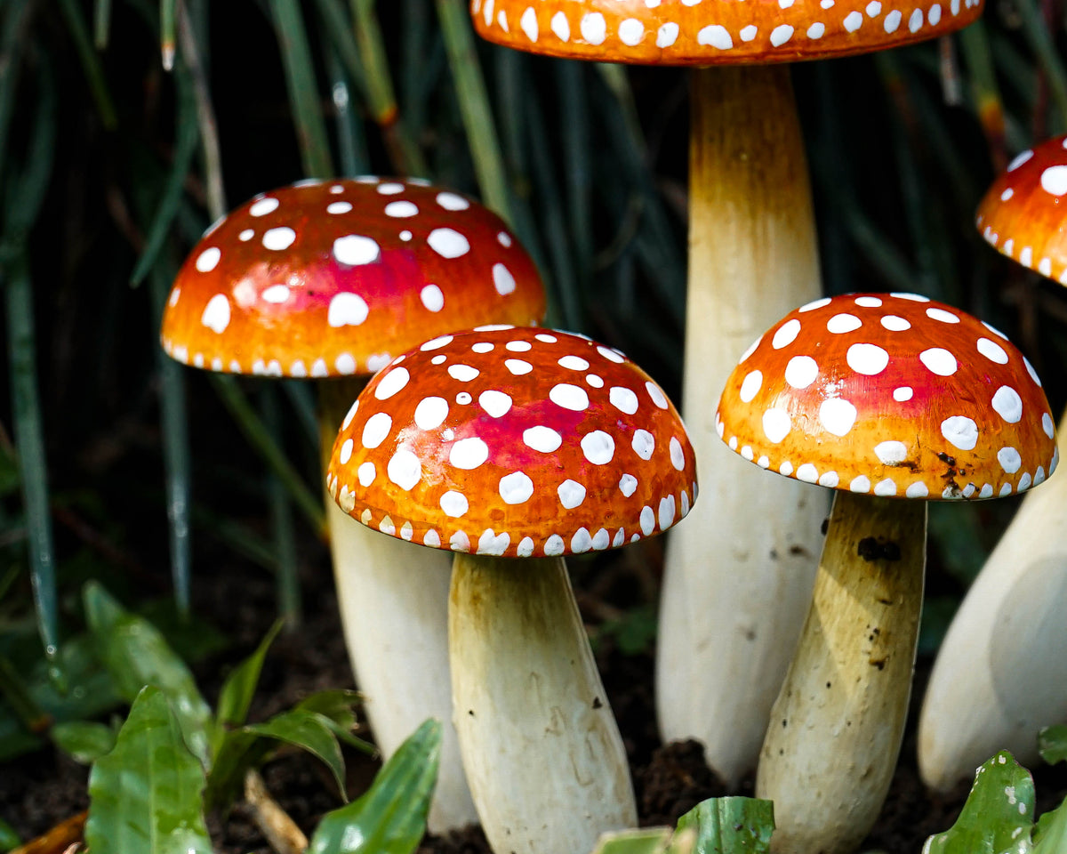Wooden Fairy Garden Mushroom Set, Red with White Dots, Outdoor Art, Plant Statue, Fall Yard, Unique, Birthday Gift for Mom, Outdoor Décor