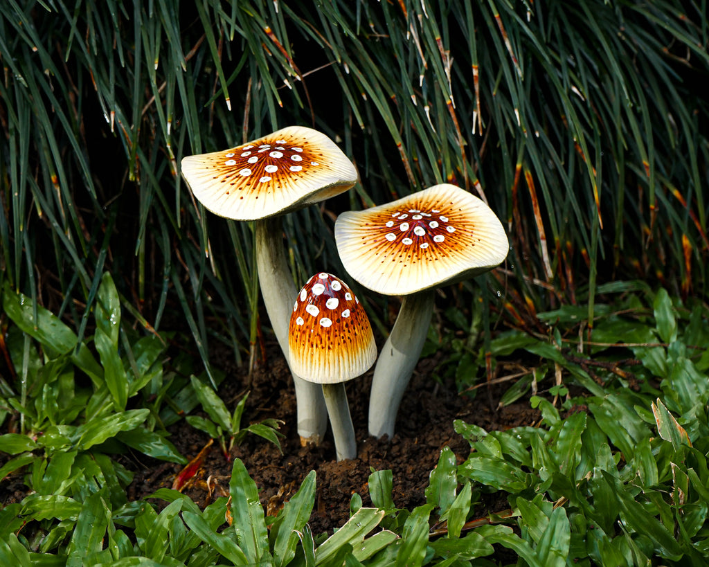 Garden Mushroom Decoration, Brown Mushroom, Outdoor, Sculpture, Nature, Painted Statue, Waterproof, Garden Decoration Art, Grandma Gift