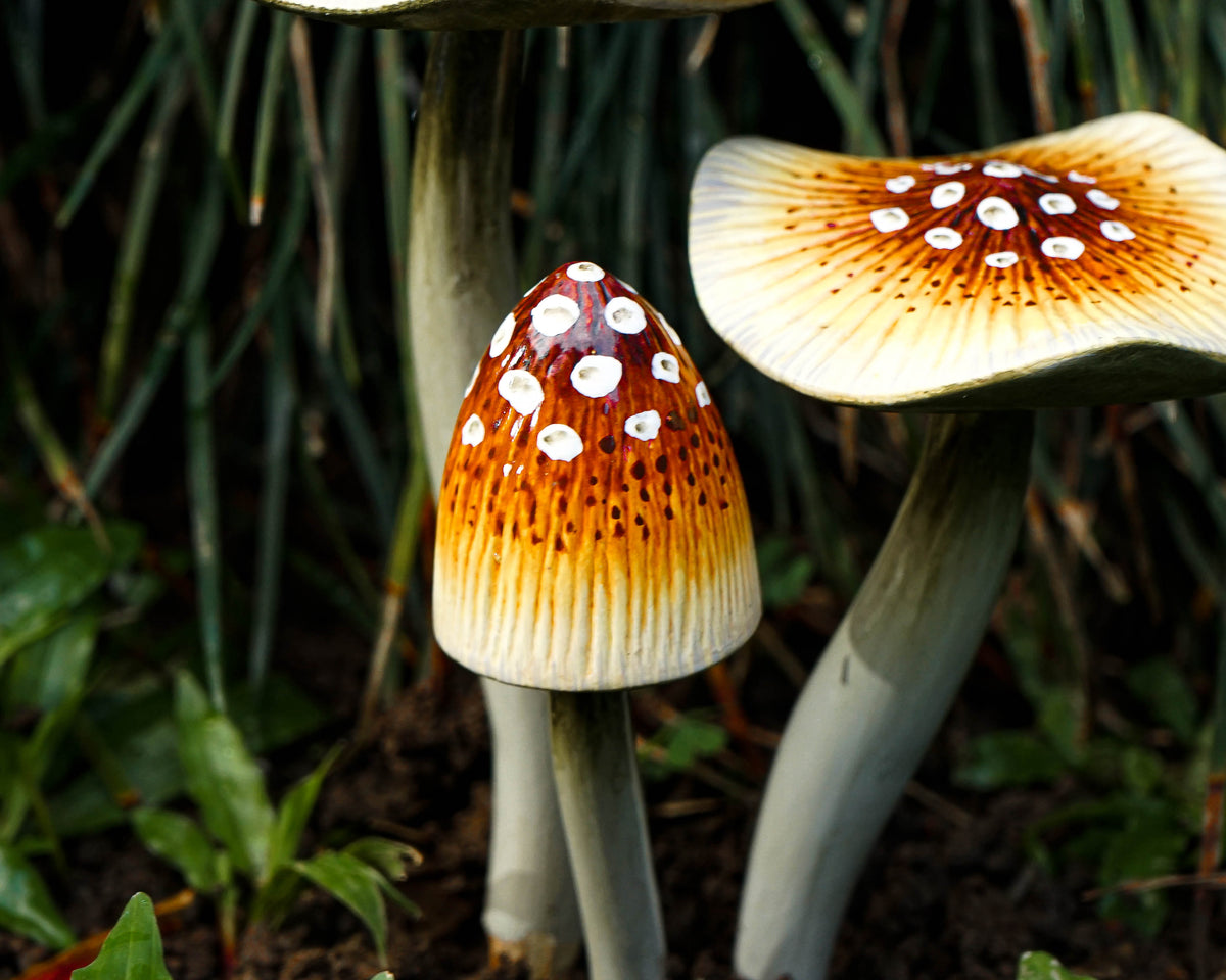 Garden Mushroom Decoration, Brown Mushroom, Outdoor, Sculpture, Nature, Painted Statue, Waterproof, Garden Decoration Art, Grandma Gift
