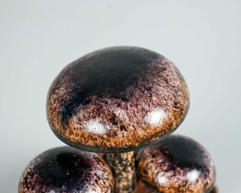 Brown Miniature Mushroom Sculpture 6.1in Tall Hand-Painted Rustic Wooden Art Decor
