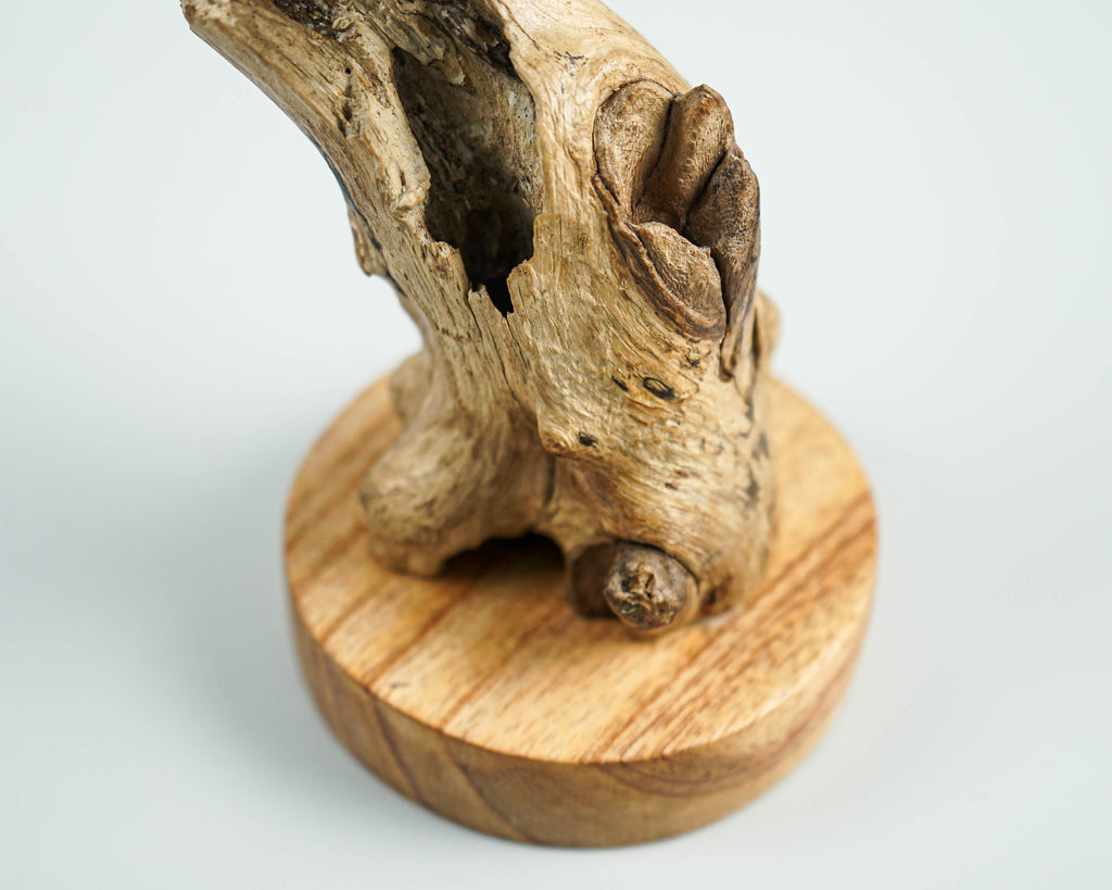 Wooden Otter Sculpture, Cute Animal, Swimming, Natural, Wildlife, Handmade Statue, Sea creature, Wood Carving, Gift for Her, Special Gift