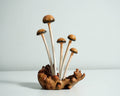 Enoki Mushroom Sculpture 7in Tall Hand-Carved Brown Wooden Forest Art