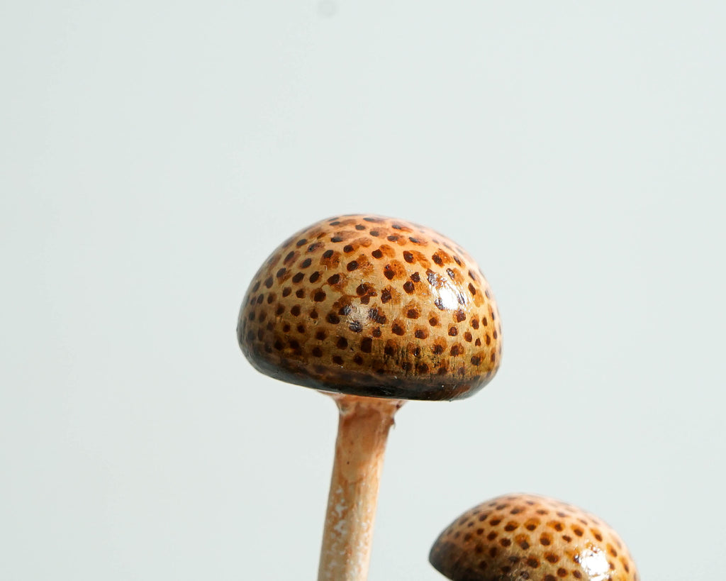 Enoki Mushroom Sculpture 7in Tall Hand-Carved Brown Wooden Forest Art