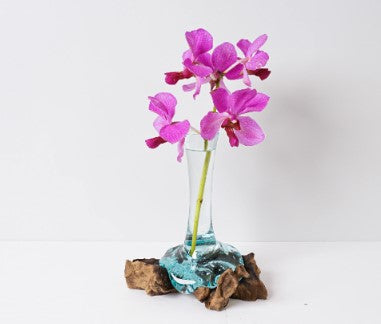 Blown Glass on Driftwood, Gamal, Molten Glass, Terrarium, Hand Blown Recycled Glass, Natural Piece, Housewarming Decor, Gift for Mother