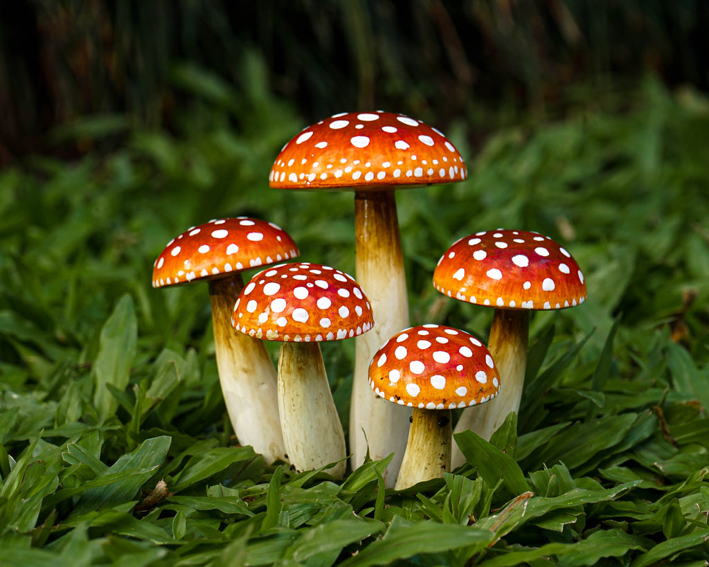 Wooden Fairy Garden Mushroom Set, Red with White Dots, Outdoor Art, Plant Statue, Fall Yard, Unique, Birthday Gift for Mom, Outdoor Décor