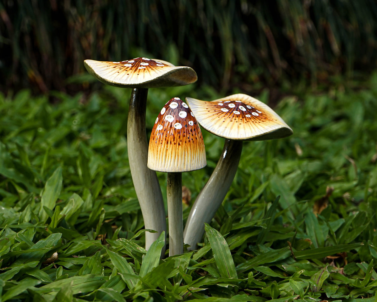 Garden Mushroom Decoration, Brown Mushroom, Outdoor, Sculpture, Nature, Painted Statue, Waterproof, Garden Decoration Art, Grandma Gift